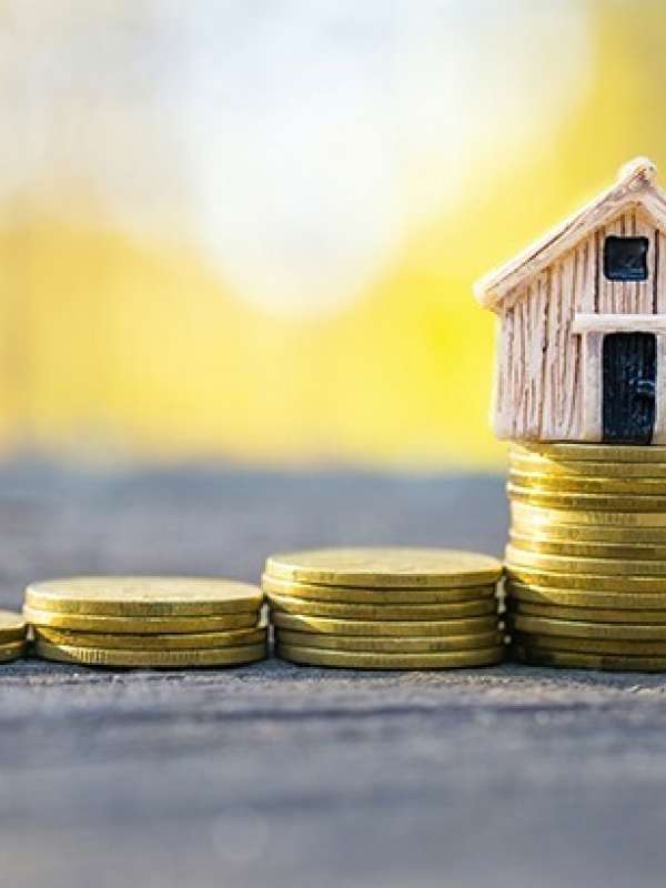 An Expert Advisor Will Give You The Best Advice in Today's Market