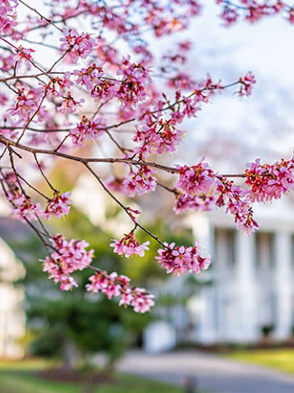 This Spring Presents Sellers With a Golden Opportunity